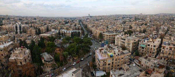 محافظة حلب - سبوتنيك عربي