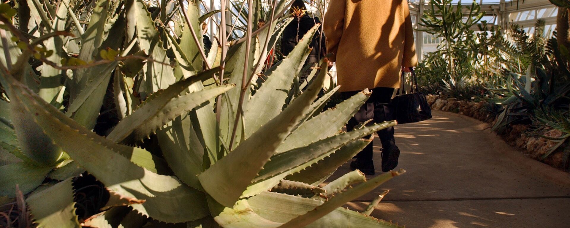 صبار - سبوتنيك عربي, 1920, 29.11.2025