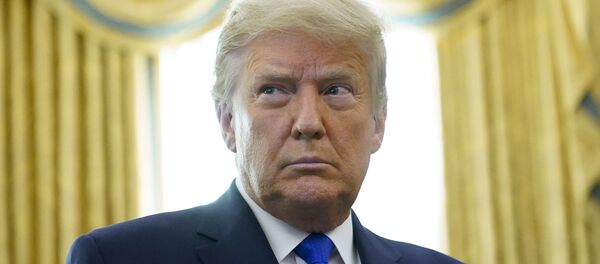 الرئيس الأمريكي دونالد ترامب - سبوتنيك عربي