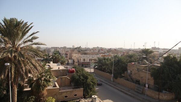 مدينة الناصرية في العراق  - سبوتنيك عربي