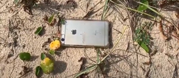 هاتف آيفون سقط من الطائرة - سبوتنيك عربي