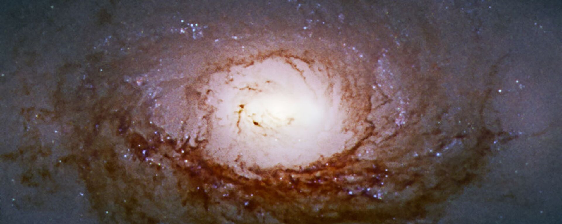 مجرة إن جي سي 3626 في كوكبة الأسد - سبوتنيك عربي, 1920, 23.02.2023