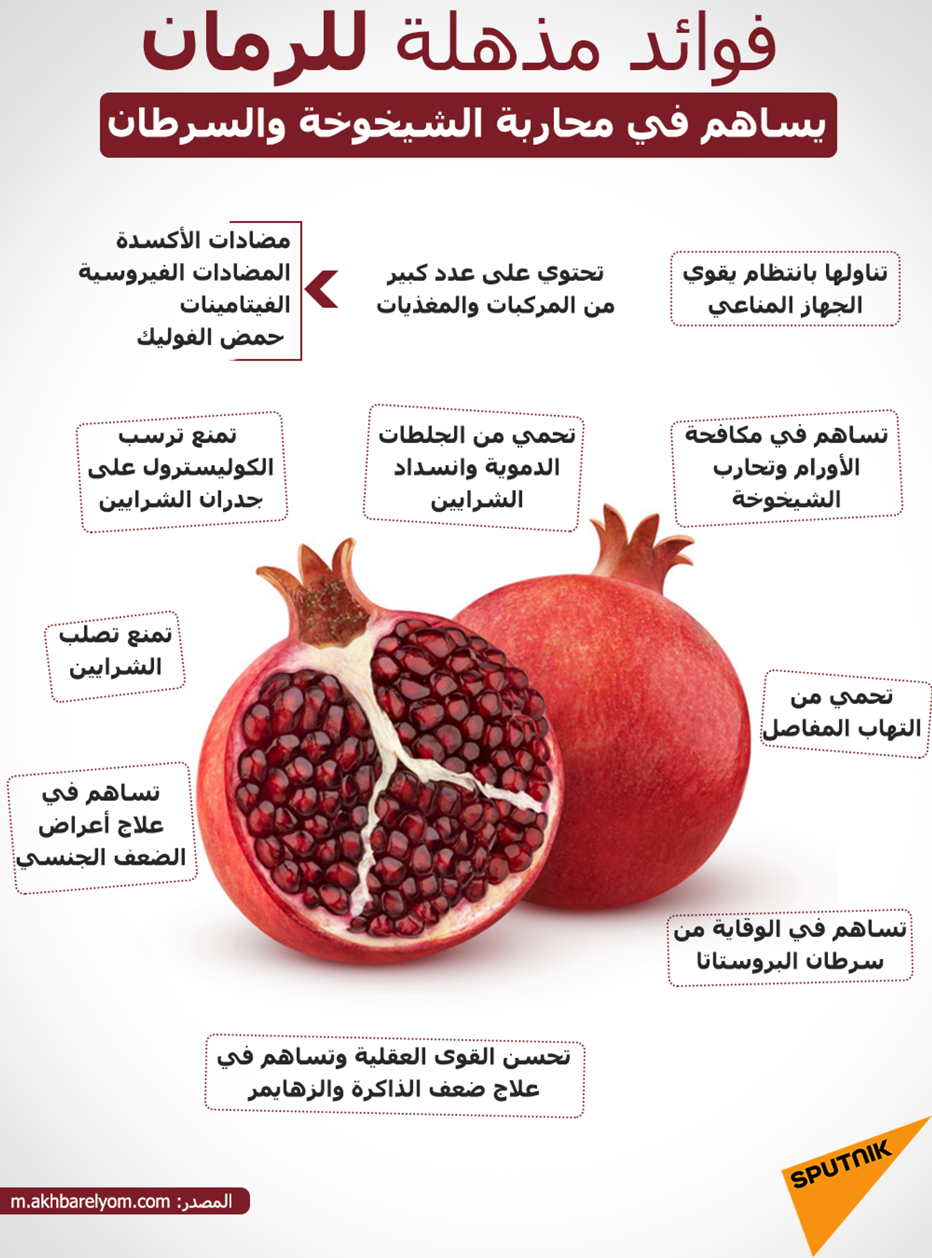 يدعمها العلم... 3 عادات مدهشة تمنع الشيخوخة وتطيل العمر - سبوتنيك عربي, 1920, 29.03.2021