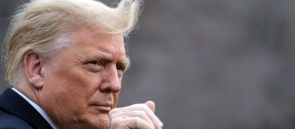 الرئيس الأمريكي، دونالد ترامب - سبوتنيك عربي