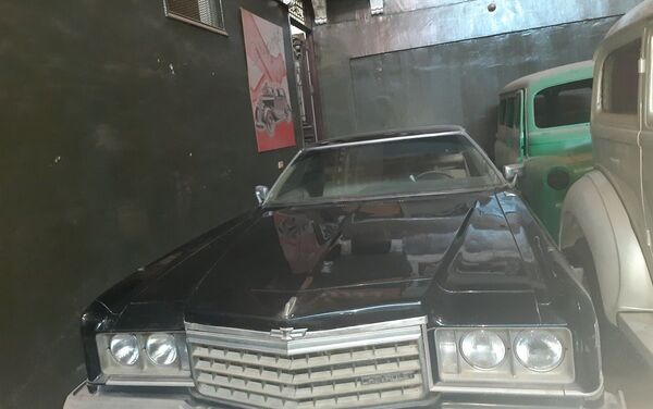 مصري لديه أكثر من 100 سيارة نادرة مصري لديه أكثر من 100 سيارة نادرة - سبوتنيك عربي