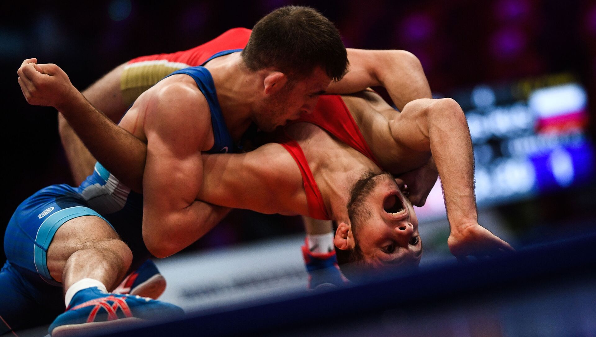 الروسيا أنزور كاراغولوف وغيورغي تيبيلوف خلال مباراة المصارعة اليونانية الرومانية للرجال في فئة وزن أقل من 60 كجم، في بطولة موسكو الدولية للمصارعة الجائزة الكبرى موسكو- 2020. الروسيا أنزور كاراغولوف وغيورغي تيبيلوف خلال مباراة المصارعة اليونانية الرومانية للرجال في فئة وزن أقل من 60 كجم، في بطولة موسكو الدولية للمصارعة الجائزة الكبرى موسكو- 2020. - سبوتنيك عربي, 1920, 20.08.2021