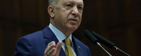 الرئيس التركي رجب طيب أردوغان، ديسمبر 2020 الرئيس التركي رجب طيب أردوغان، ديسمبر 2020 - سبوتنيك عربي