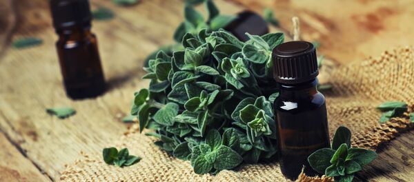 زيت الأوريجانو - سبوتنيك عربي