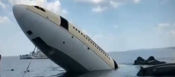 غرق طائرة مدنية - سبوتنيك عربي