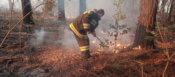 إطفاء الحريق في مدينة سوتشي  - سبوتنيك عربي