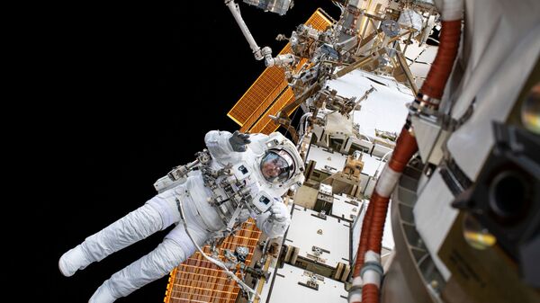 رائد فضاء ناسا كريس كسيدي - سبوتنيك عربي