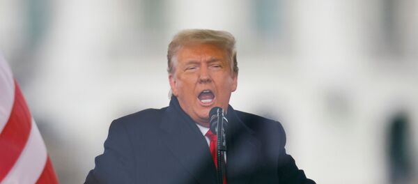 الرئيس الأمريكي، دونالد ترامب الرئيس الأمريكي، دونالد ترامب - سبوتنيك عربي