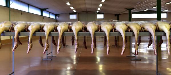 ذبح البط في فرنسا - سبوتنيك عربي