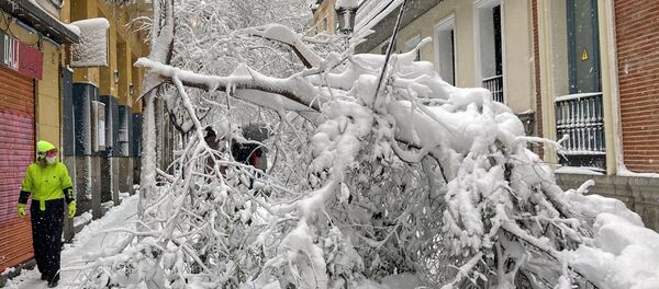 العاصفة الثلجية في إسبانيا 2020 - سبوتنيك عربي