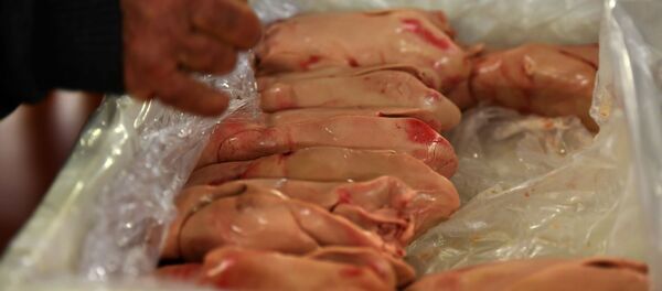 القلق من انتشار السلالة الجديدة من انفلونزا الطيور - سبوتنيك عربي