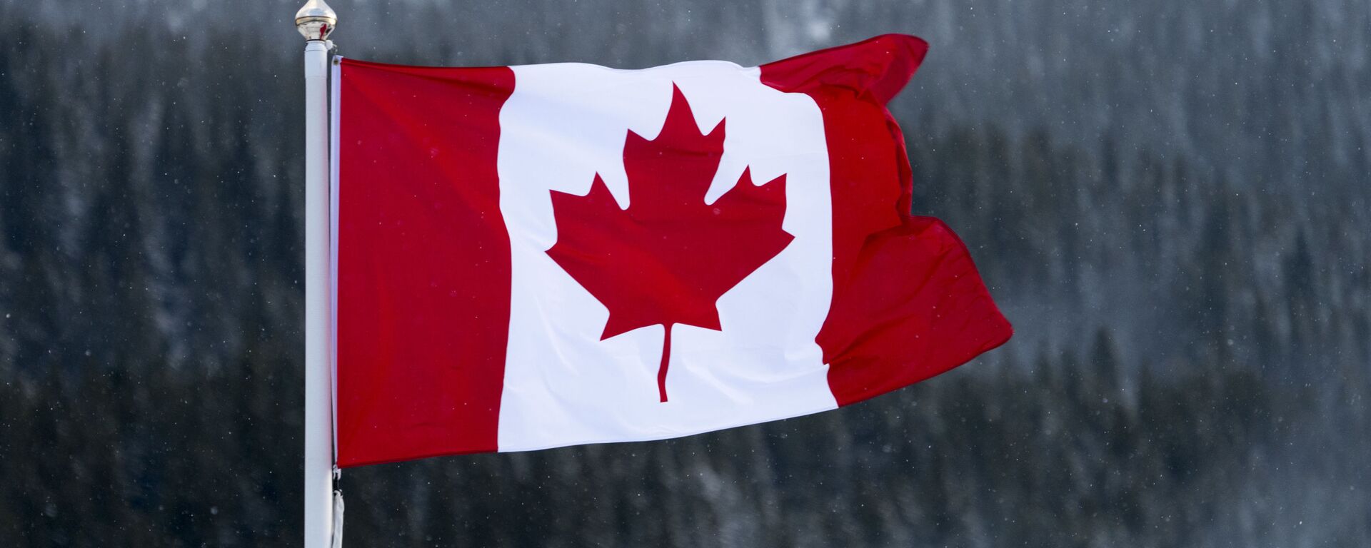 علم كندا - سبوتنيك عربي, 1920, 19.03.2024