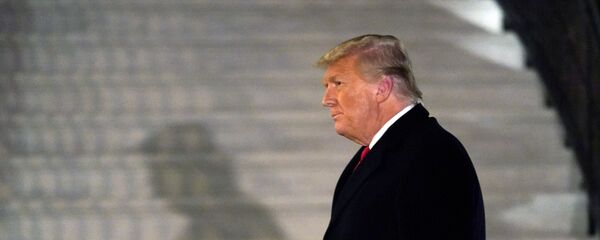 الرئيس الأمريكي، دونالد ترامب، 12 يناير 2020 - سبوتنيك عربي