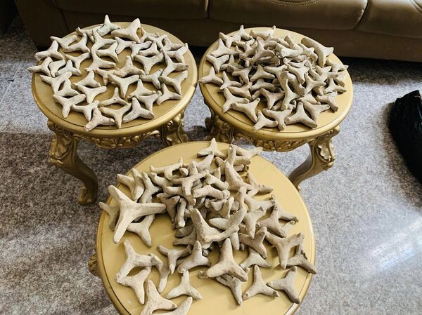 إحباط تهريب مئات القطع الأثرية من أقدم مدن العراق... صور   - سبوتنيك عربي