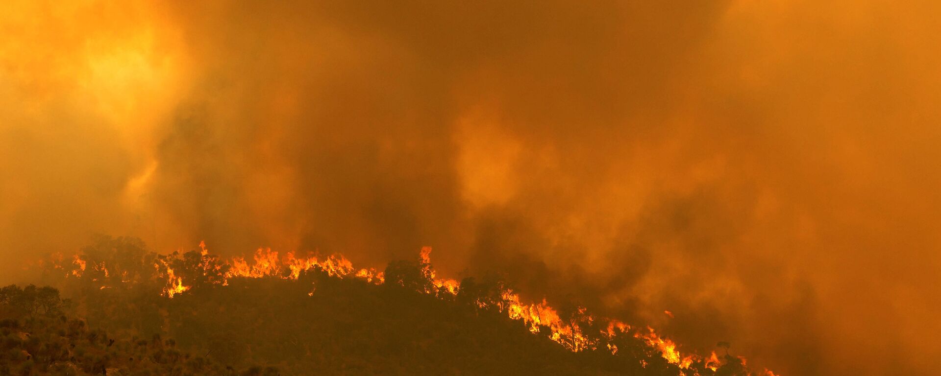 اشتعال حرائق الغابات في أستراليا 1 فبراير 2021 - سبوتنيك عربي, 1920, 03.10.2023
