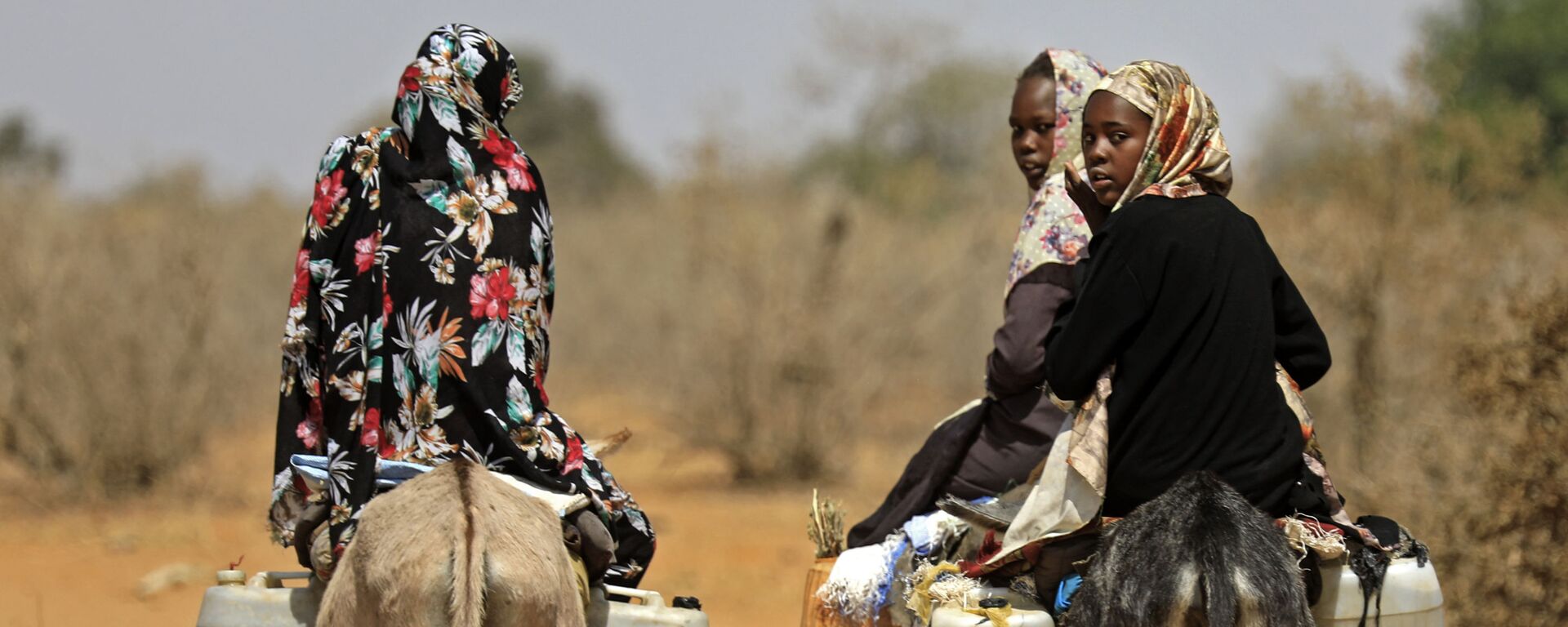 نساء سودانيات ينقلن المياه على ظهور الحمير في قرية الطويل سعدون ، 85 كيلومترًا جنوب مدينة نيالا، عاصمة جنوب دارفور، 2 فبراير 2021 - سبوتنيك عربي, 1920, 27.07.2022