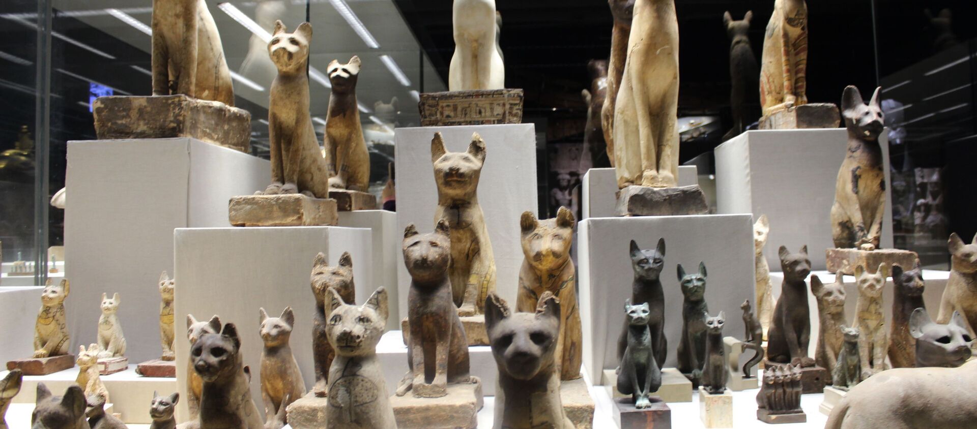 جولة مصورة داخل أول متحف بشرم الشيخ - سبوتنيك عربي, 1920, 14.02.2021