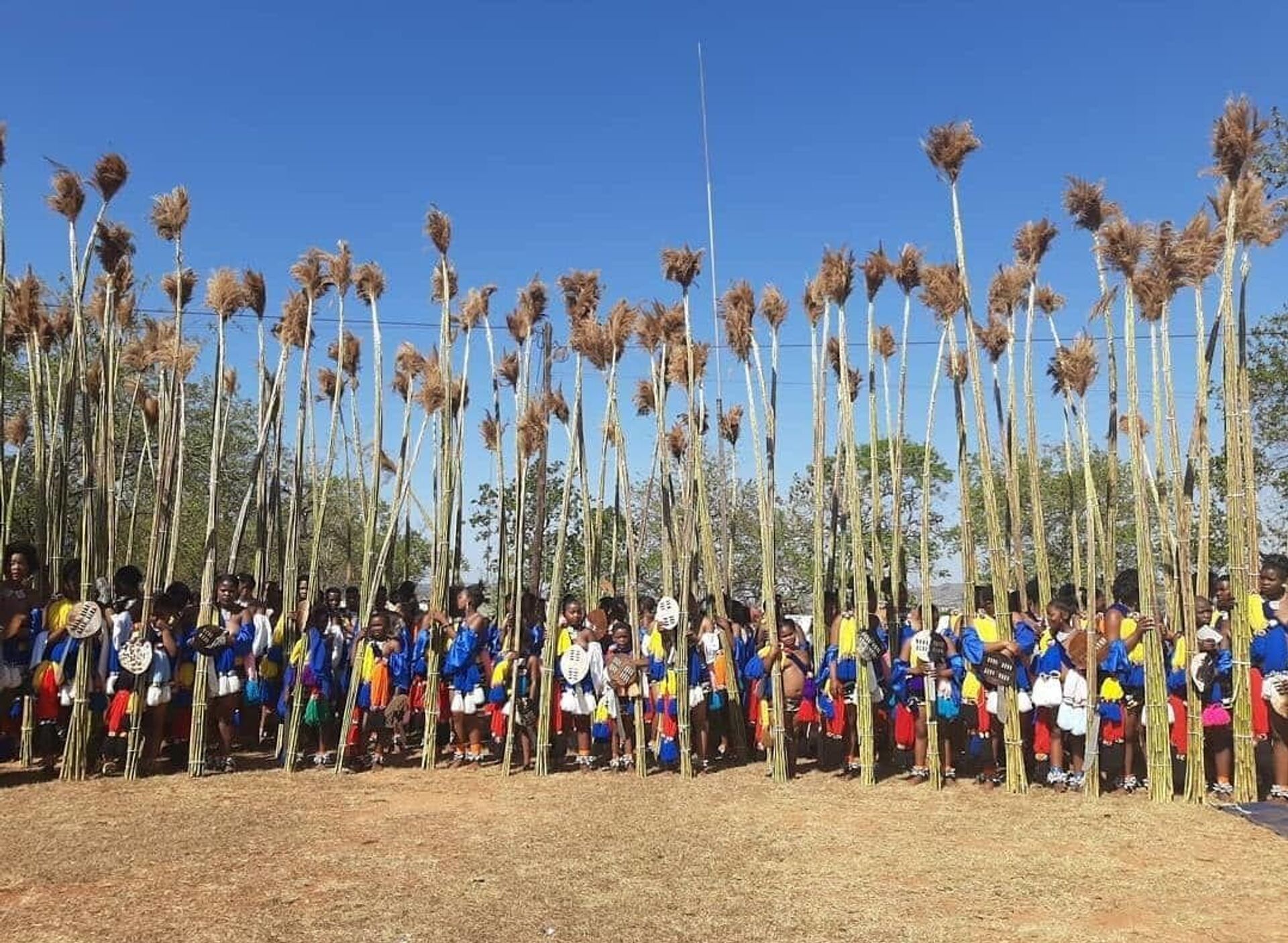 أبرز عادات وتقاليد مملكة إسواتيني الأفريقية... صور - سبوتنيك عربي, 1920, 25.02.2021