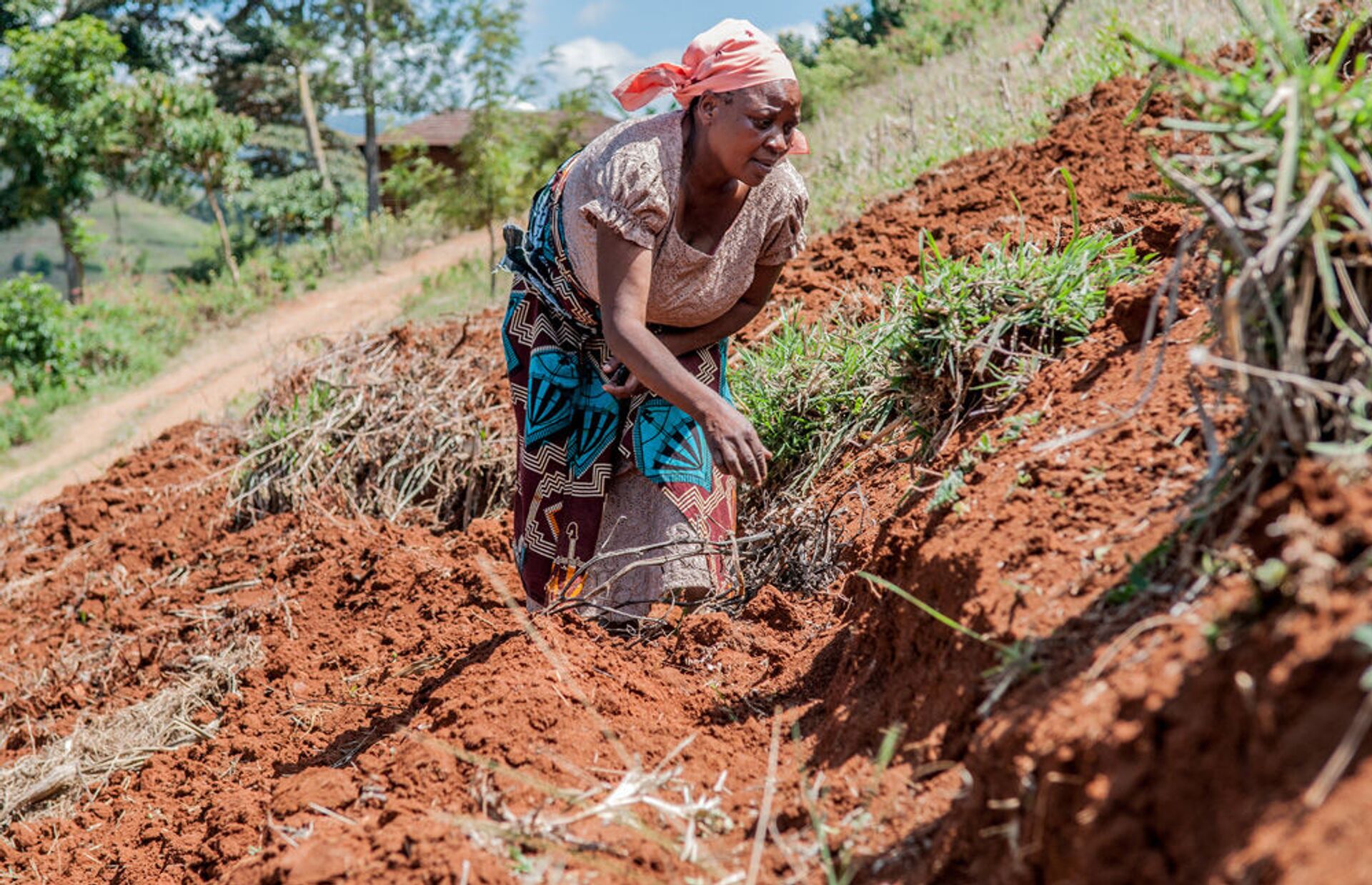 أبرز عادات وتقاليد مملكة إسواتيني الأفريقية... صور - سبوتنيك عربي, 1920, 25.02.2021