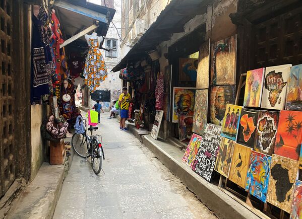  متجر لبيع اللوحات في أحد شوارع مدينة زنجبار، تنزانيا 18 فبراير 2021 - سبوتنيك عربي