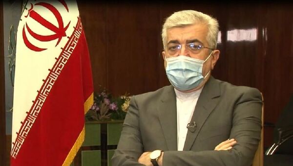 قال وزير الطاقة الإيراني رضا أردكانيان - سبوتنيك عربي