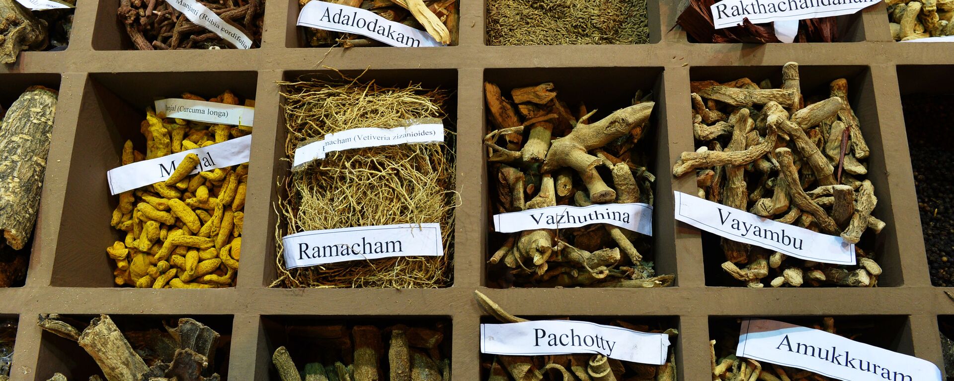 أعشاب - سبوتنيك عربي, 1920, 02.01.2022