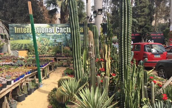 معرض زهور الربيع بحديقة الأورمان المصرية في نسخته الـ 88 - سبوتنيك عربي