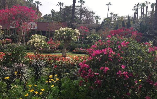 معرض زهور الربيع بحديقة الأورمان المصرية في نسخته الـ 88 - سبوتنيك عربي