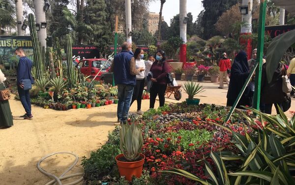 معرض زهور الربيع بحديقة الأورمان المصرية في نسخته الـ 88 - سبوتنيك عربي
