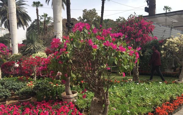 معرض زهور الربيع بحديقة الأورمان المصرية في نسخته الـ 88 - سبوتنيك عربي