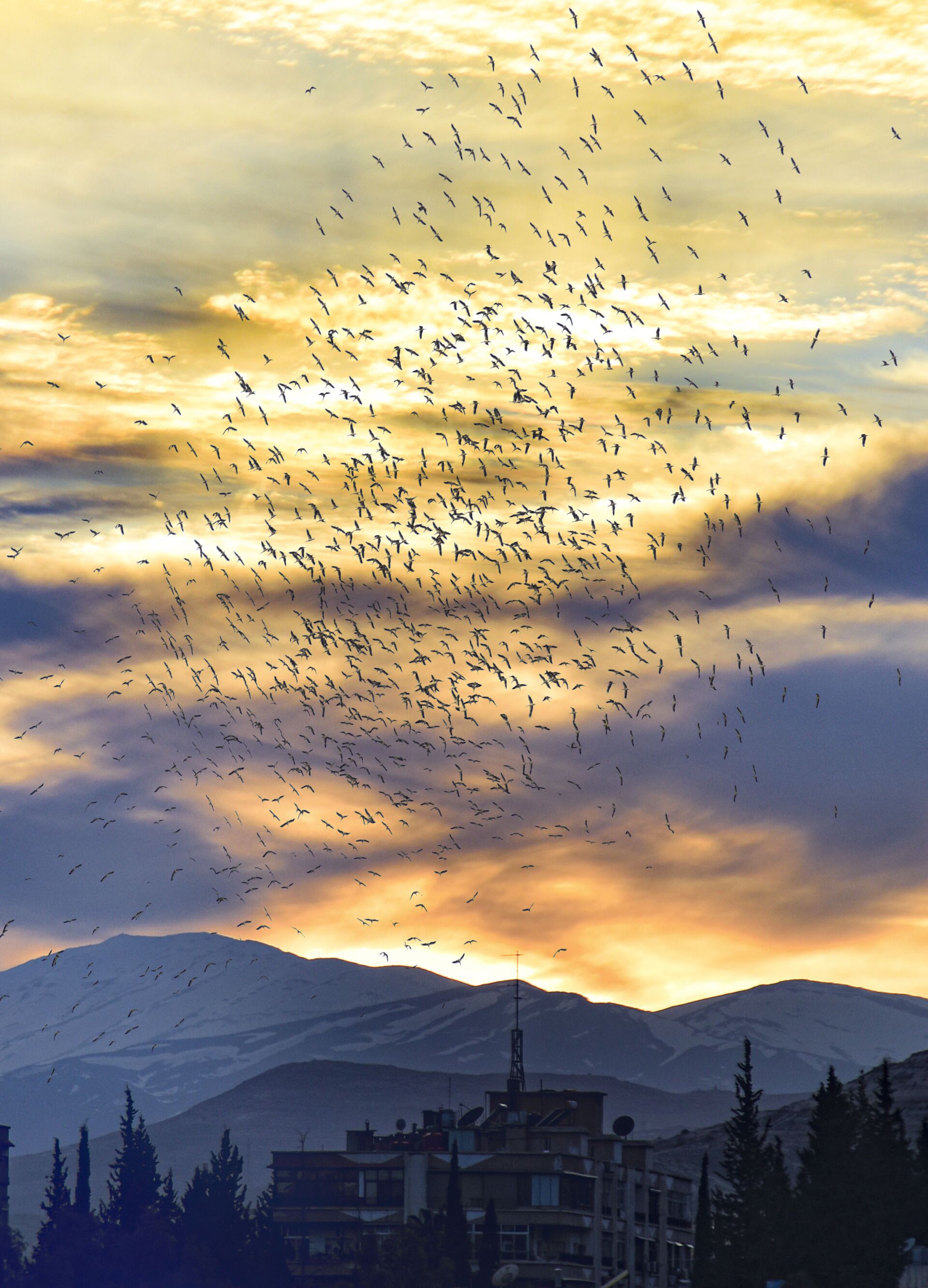 ليست مطالب شعبية بل خطة لتجييش السوريين... سقوط داعش وتماسك سوريا يرسم نتيجة الصراع - سبوتنيك عربي, 1920, 15.03.2021