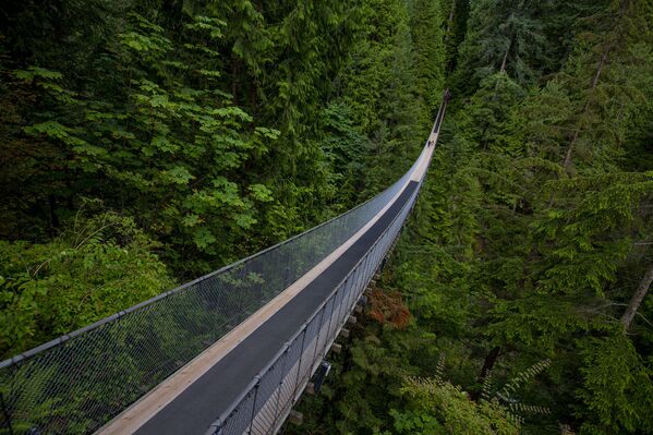 الجسر المعلق كابيلانو في كندا - سبوتنيك عربي