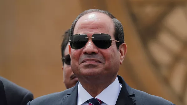 الرئيس المصري عبد الفتاح السيسي - سبوتنيك عربي
