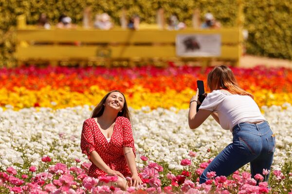 الزوار بين أزهار حوذان (Ranunculus) في حديقة ذا فلاور فيلدز في كارلسباد، ولاية كاليفورنيا، الولايات المتحدة 31 مارس 2021 - سبوتنيك عربي