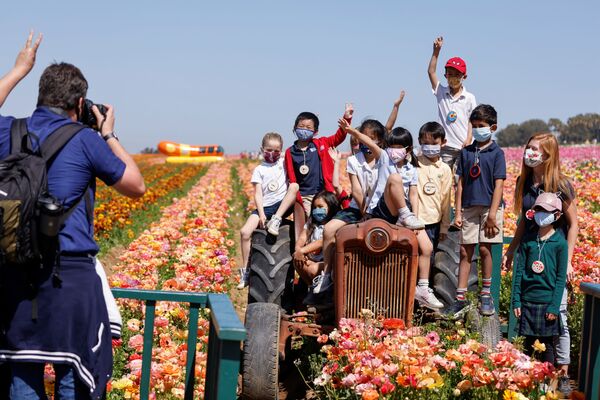 الزوار بين أزهار حوذان (Ranunculus) في حديقة ذا فلاور فيلدز في كارلسباد، ولاية كاليفورنيا، الولايات المتحدة 31 مارس 2021 - سبوتنيك عربي