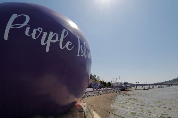 الجزر البنفجسية في محافظة تشلا الجنوبية في كوريا الجنوبية، 6 أبريل 2021 - سبوتنيك عربي