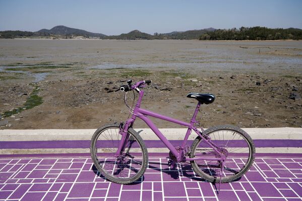 دراجة هوائية على أرض الجزيرة البنفجسية في محافظة تشلا الجنوبية في كوريا الجنوبية، 6 أبريل 2021 - سبوتنيك عربي