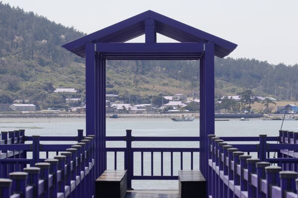 الجزر البنفجسية في محافظة تشلا الجنوبية في كوريا الجنوبية، 6 أبريل 2021 - سبوتنيك عربي