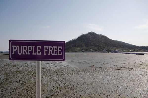 مؤشر إلى مكان الجزر البنفجسية في محافظة تشلا الجنوبية في كوريا الجنوبية، 6 أبريل 2021 - سبوتنيك عربي