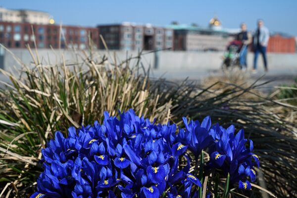 مواطنون يتنزهون في حديقة موزيون على ضفة نهر موسكو، روسيا 11 أبريل 2021 - سبوتنيك عربي