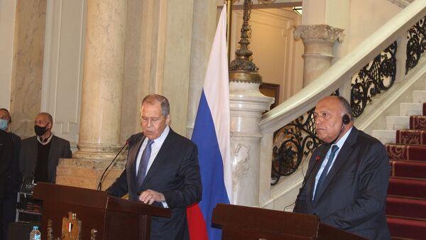 لقاء سامح شكري بسيرغي لافروف - سبوتنيك عربي