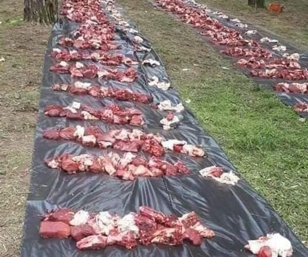 النفقة... عادة أمازيغية يتوارثها الجزائريون لتوزيع اللحوم على الفقراء والأغنياء النفقة... عادة أمازيغية يتوارثها الجزائريون لتوزيع اللحوم على الفقراء والأغنياء - سبوتنيك عربي