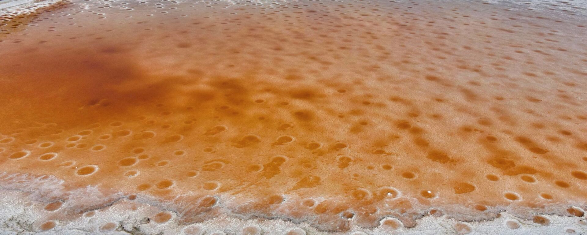 زوجان يقفان على خلفية بحيرة مالحة لونها وردي في تايوان، في إطار جلسة تصوير وفافهما، 21 أبريل 2021 - سبوتنيك عربي, 1920, 03.08.2022