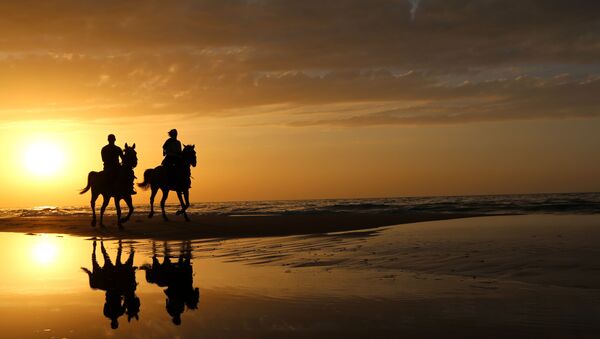 فلسطينيان يمتطيان الخيول مع غروب الشمس على شاطئ غزة  - سبوتنيك عربي