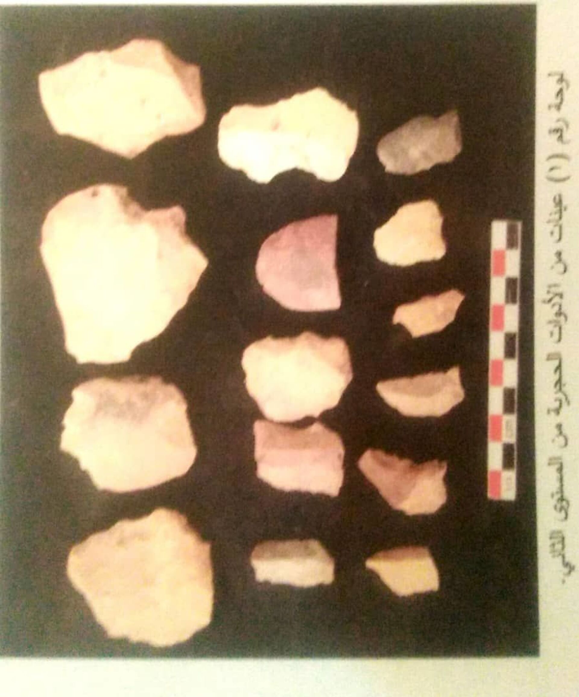 مدير الكشف الأثري السوداني: الاكتشافات الجديدة تؤكد أن حضارتنا ضاربة في القدم - سبوتنيك عربي, 1920, 26.04.2021