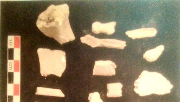 اكتشافات أثرية في السودان - سبوتنيك عربي